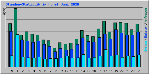Stunden-Statistik im Monat Juni 2026